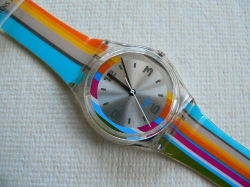 Swatch Diadromes GE133
