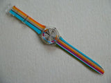 Swatch Diadromes GE133