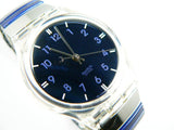 Schleiereule GK296
