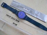 Blue Note with Date GI400 Swatch Watch (Preowned)